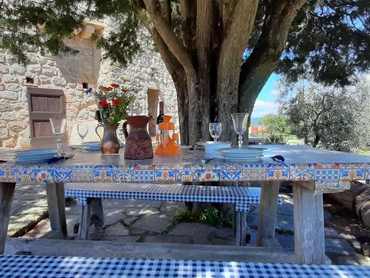 Locazione Turistica Mimosa - Torretta - Borgo La Civitella By Interhome Roccastrada