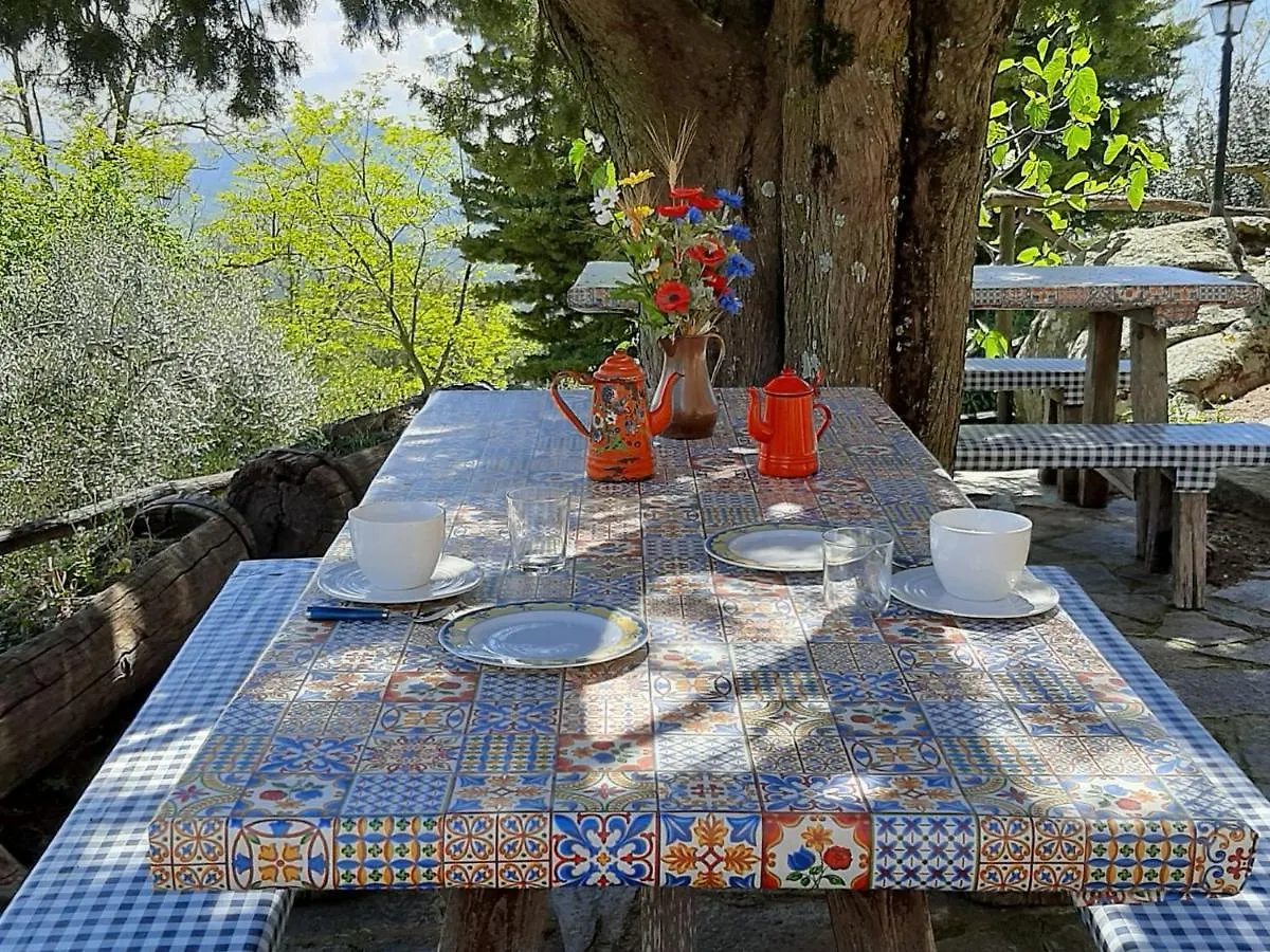Apartment Locazione Turistica Mimosa - Torretta - Borgo La Civitella By Interhome Roccastrada
